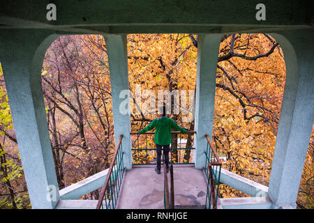 A man with a green jacket stands out looking at the autumn colored leaves in the Cluj-Napoca Botanical Garden, Transylvania, Romania Stock Photo