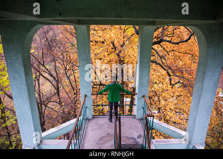 A man with a green jacket stands out looking at the autumn colored leaves in the Cluj-Napoca Botanical Garden, Transylvania, Romania Stock Photo