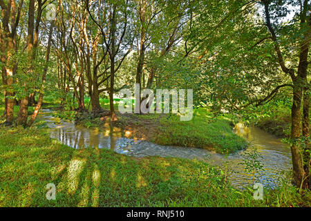 creek or stream meandering though the countryside in stokers siding in northern new south wales, australia, semi rainforest area Stock Photo