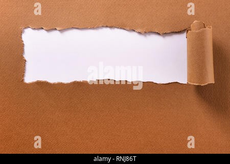 Torn brown paper rolled edge header frame white background Stock Photo