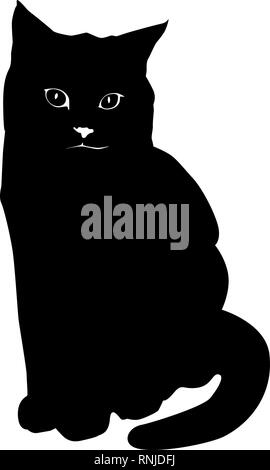 Cat black silhouette on white background. Vector illustration. British shorthair breed cat. Sticker, emblem, print. Stock Vector