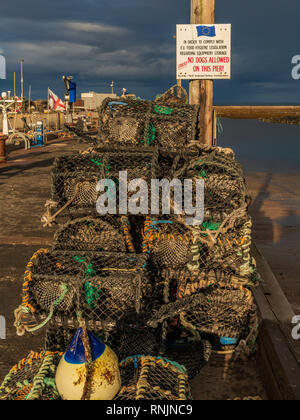 Seahouses, Northumberland, England, UK - September 08, 2018: Sign No dogs allowed on this pier, with fish traps in front of dark clouds Stock Photo