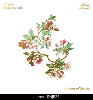 Botanical wedding invitation card template design, hand drawn sakura flowers and leaves on branches wreath, vintage rural cherry blossom on white back Stock Vector