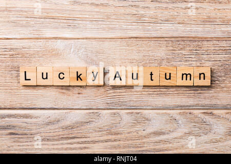 Lucky autumn word written on wood block. Lucky autumn text on wooden table for your desing, concept. Stock Photo