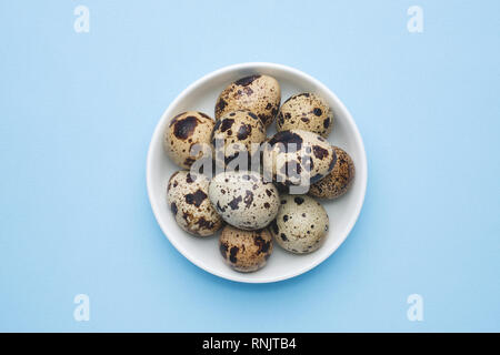 quail eggs on blue background with copy space Stock Photo