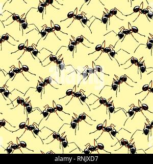 Macro realistic ants seamless background. Stock Vector