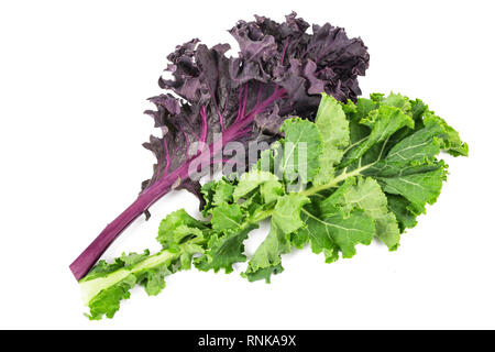 Red and green curly kale isolated on white Stock Photo