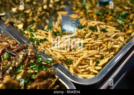 Fried insects on the chrome trays on the street food market in Bangkok in Thailand. There are worms and grasshoppers. Closeup horizontal photo. Stock Photo