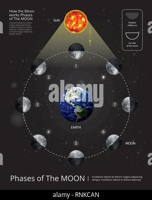 Movements of the Moon Phases Realistic Vector Illustration Stock Vector