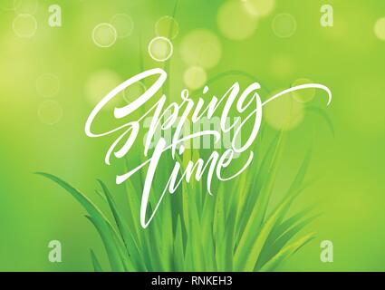 Spring time handwritten calligraphy lettering with grass background. Vector illustration Stock Vector