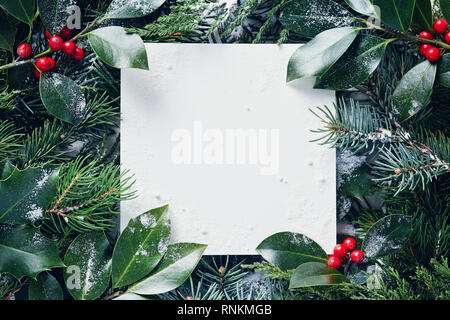 Decorative frame of Christmas tree branches and holly berries with snow. Copy space for text. Stock Photo