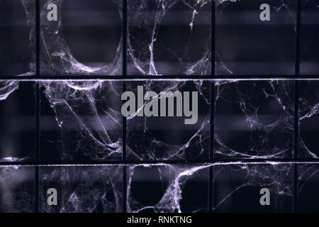 Cobweb on metal grid for horror background Stock Photo