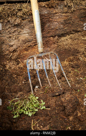 Pitchfork in compost heap. Germany.. Stock Photo