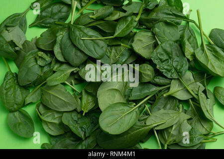 Group of babe spinach leaves isolated on green background Stock Photo