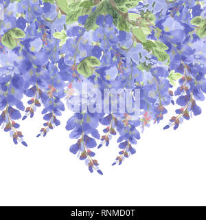 branches of violet ink wisteria isolated on white background with copy space Stock Photo