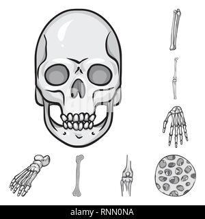 skull,femur,knee,wrist,foot,fiber,death,joint,hand,ankle,bony,healthy,head,fibula,surgery,health,flatfoot,alignment,tendon,eye,injury,xray,movement,cell,hell,calcium,cartilage,finger,tissue,biology,medical,bone,skeleton,anatomy,human,organs,medicine,clinic,set,vector,icon,illustration,isolated,collection,design,element,graphic,sign,mono,gray Vector Vectors , Stock Vector