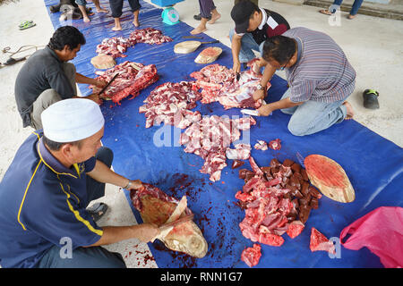 Kiulu Sabah Malaysia - Sep 24, 2015: Muslim man preparing on buffalo meet  to be distibuted to muslims in needs during Eid Al-Adha Al Mubarak, the Fea Stock Photo