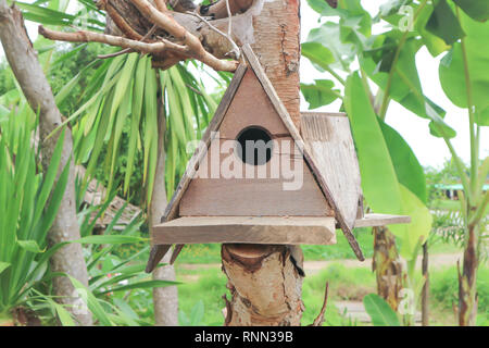 bird nest or artificial nest or wooden nest Stock Photo