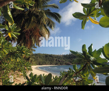 Seychelles. Takamaka beach scene. Stock Photo