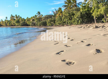 Footsteps in the Sand at Grande Anses des Salines Beach on Martinique Stock Photo