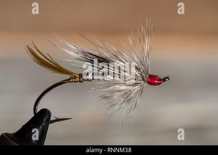 Classic and colorful Atlantic salmon fly fishing wet flies. Stock Photo