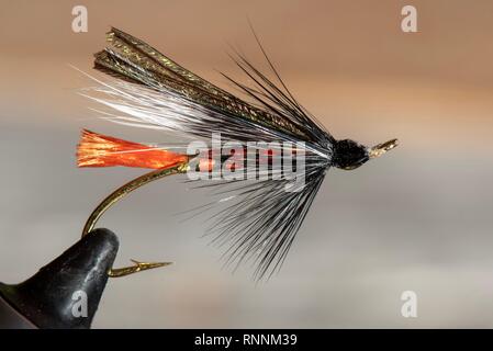 Classic and colorful Atlantic salmon fly fishing wet flies Stock Photo -  Alamy