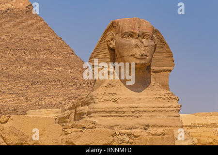 Great Sphinx in Giza pyramid complex, Egypt Stock Photo