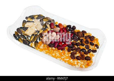Seeds of various vegetable plants for Easter decorations in plastic box. Isolated with patch studio macro shot Stock Photo