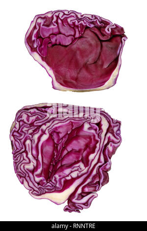 Cross section of red cabbage as a human brain concept. Isolated on white studio macro Stock Photo