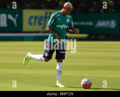 Sao Paulo, Brazil. 19th Feb, 2019.  Deyverson during training of Palmeiras held at the Football Academy located in the neighborhood of Barra Funda in São Paulo (SP). (Photo: Ricardo Moreira/Fotoarena) Credit: Foto Arena LTDA/Alamy Live News Stock Photo