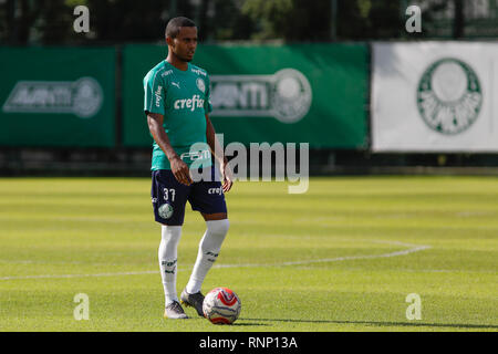 Sao Paulo, Brazil. 19th Feb, 2019.  Carlos Eduardo during training of Palmeiras held at the Football Academy located in the neighborhood of Barra Funda in São Paulo (SP). (Photo: Ricardo Moreira/Fotoarena) Credit: Foto Arena LTDA/Alamy Live News Stock Photo