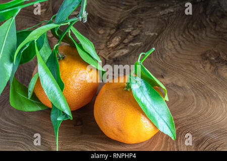 pair of orange tangerines  with green leaves on a wood background Stock Photo