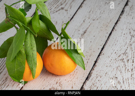 two golden tangerines with green leaves on weathered white wood background Stock Photo