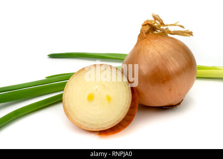Close up fresh whole and halved brown onions with a bunch of spring onions isolated on white Stock Photo