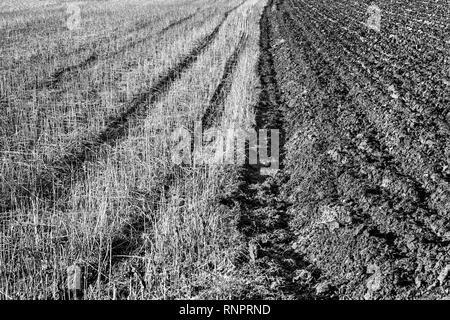 Plowed soil and meadow, Germany, Europe Stock Photo
