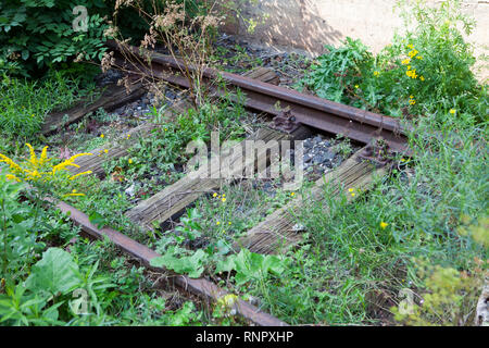 Overgrown railway tracks Stock Photo