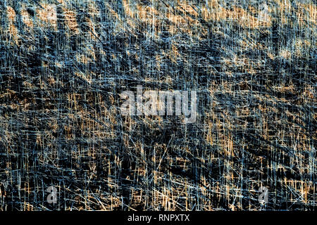 Structures in dry grass, closeup, with a blurred wipe effect Stock Photo