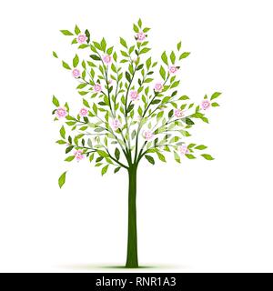 Spring tree with leaves and flowers vector Stock Vector