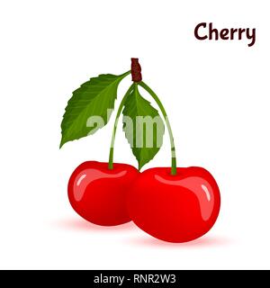 Red ripe cherry berries with leaves vector Stock Vector
