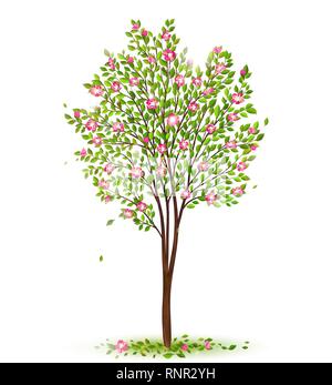 Spring cherry tree with green leaves and pink flowers vector Stock Vector