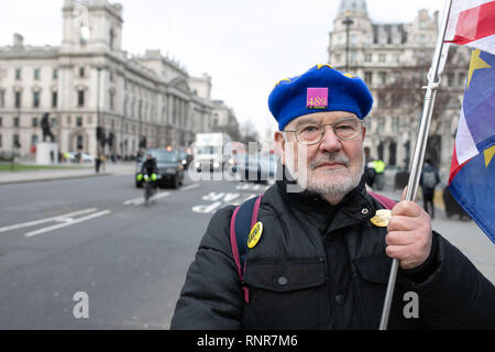 Brexit London 2019 Stock Photo