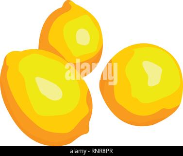 three Lemons citrus vector illustration isolated on a white background Stock Vector