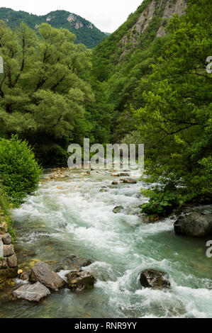 Radika River, Mavrovo National Park, Macedonia Stock Photo