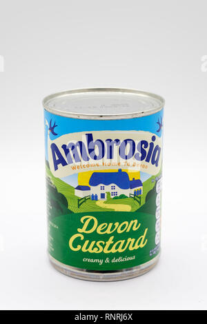 Largs, Scotland, UK - February 19, 2019: Ambrosia Branded Deven Custard in Recyclable Tin Can and label Nutritional and Recycling Information on Back. Stock Photo