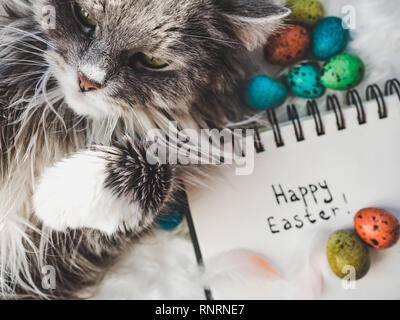 Charming kitten, notebook with a congratulatory inscription and Easter eggs painted in bright colors on a white background. Top view, close-up. Happy  Stock Photo