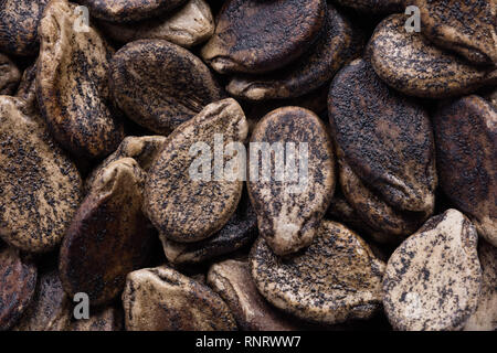 High quality seeds of watermelon, pumpkin in a texture form for your unique garden. Can be used by seed producers. Stock Photo