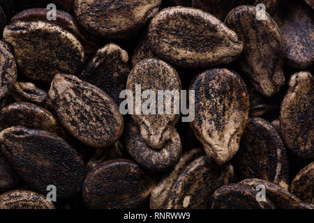 High quality seeds of watermelon, pumpkin in a texture form for your unique garden. Can be used by seed producers. Stock Photo