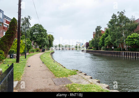 The River Lea in Tottenham, London, UK, looking North, Ferry Lane bridge in the background Stock Photo