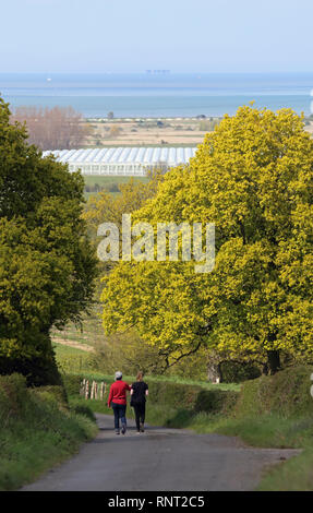 A mother and her daughter walking along a narrow country lane in Kent with the Thames Estuary in the background. Stock Photo