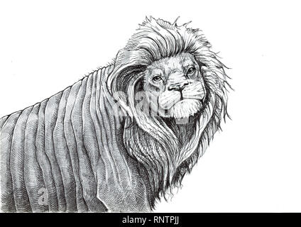 Unusual Sea Lion. Ink drawing. Funny lion illustration. Stock Photo